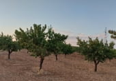 Non-developable land for sale on Hoya de Tebar, Navas de Jorquera, ref: TR109269 photo