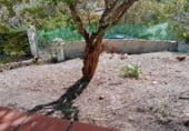 Finca rústica en venda a la Santa Lucia, Vejer de la Frontera, ref.: TR109266 foto