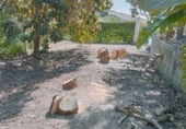 Finca rústica en venda a la Santa Lucia, Vejer de la Frontera, ref.: TR109266 foto