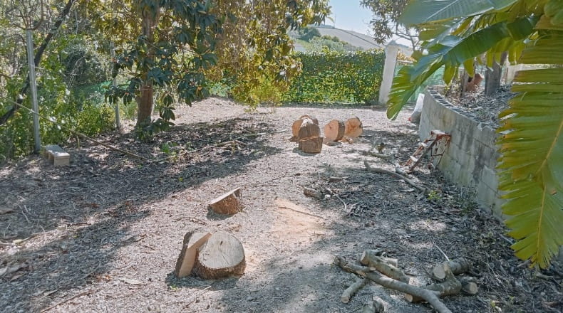 Cádiz - Vejer de la Frontera - 1000m2