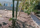 Finca rústica en venda a la Santa Lucia, Vejer de la Frontera, ref.: TR109266 foto