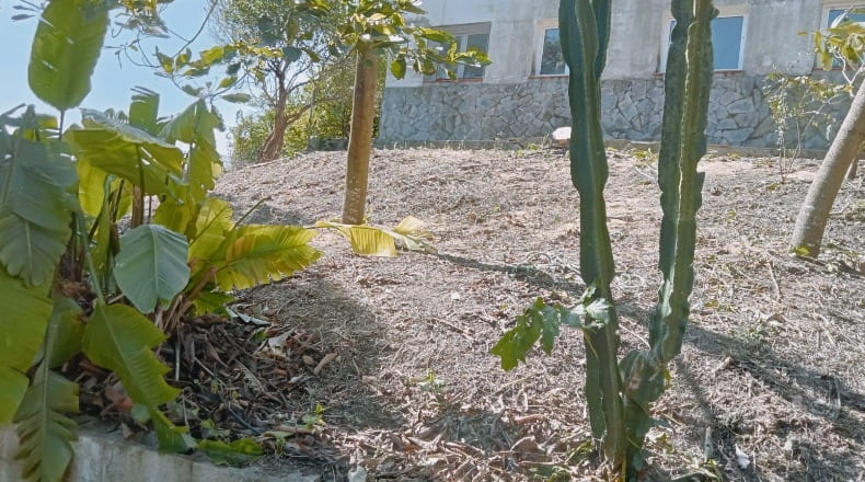 Cádiz - Vejer de la Frontera - 1000m2
