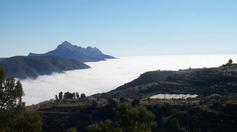 Alicante - Confrides - 20000m2