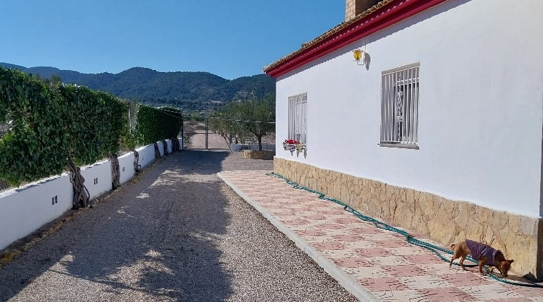 Alicante - Castalla - 5000m2