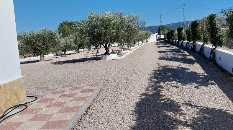 Alicante - Castalla - 5000m2