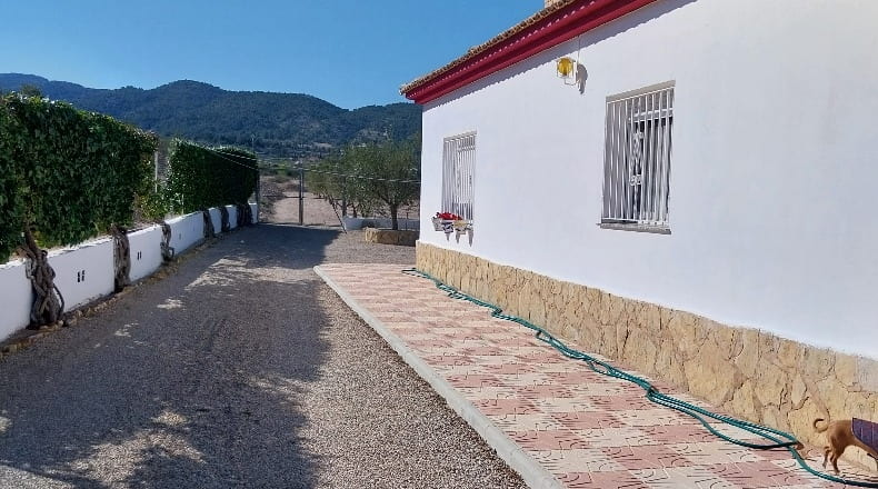 Alicante - Castalla - 5000m2