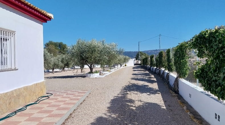 Alicante - Castalla - 5000m2