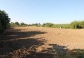 Terreno no urbanizable en venta en la Avenida del Pinsapo, Alcalá del Río, ref: TR109334 foto
