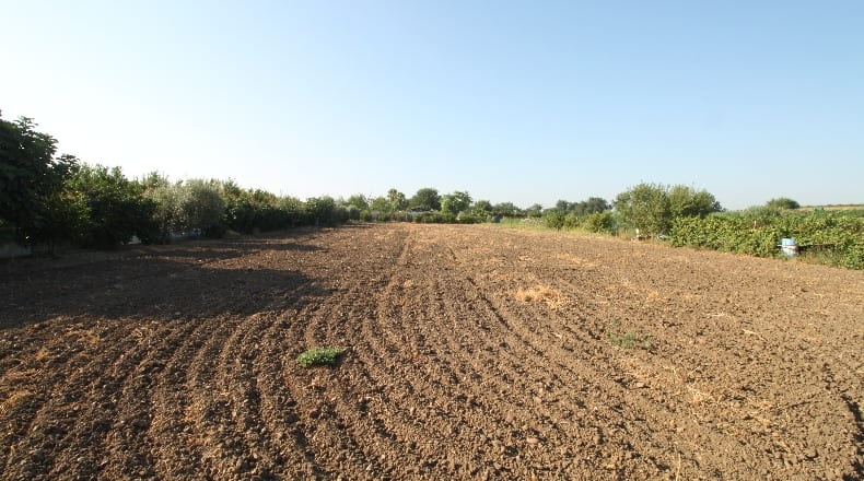 Sevilla - Alcalá del Río - 4600m2