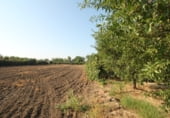 Terreno no urbanizable en venta en la Avenida del Pinsapo, Alcalá del Río, ref: TR109334 foto