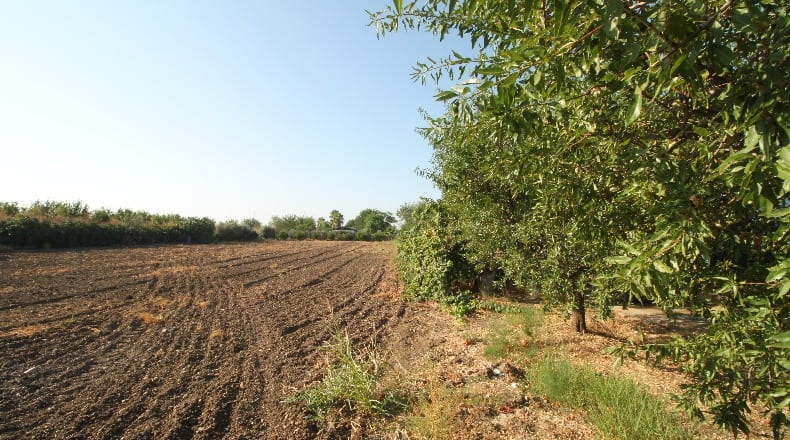Sevilla - Alcalá del Río - 4600m2