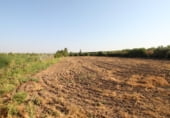 Terreno no urbanizable en venta en la Avenida del Pinsapo, Alcalá del Río, ref: TR109334 foto