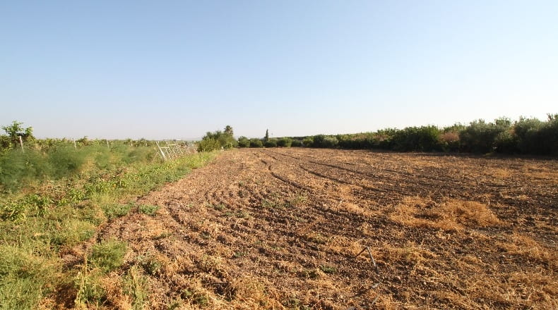 Sevilla - Alcalá del Río - 4600m2