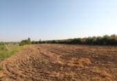 Terreno no urbanizable en venta en la Avenida del Pinsapo, Alcalá del Río, ref: TR109334 foto