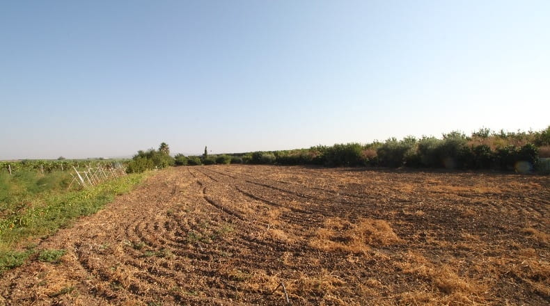Sevilla - Alcalá del Río - 4600m2