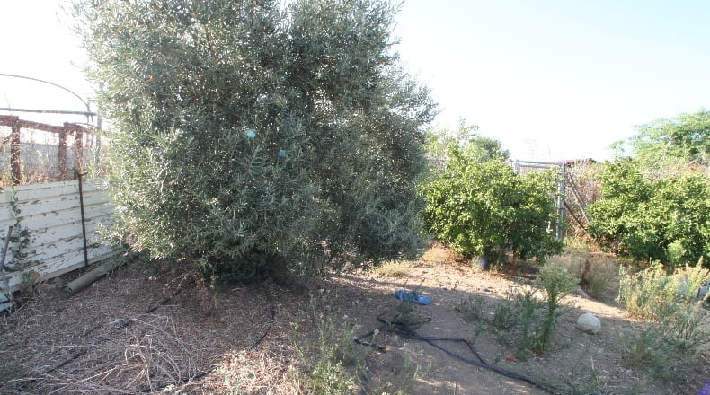 Sevilla - Alcalá del Río - 4600m2