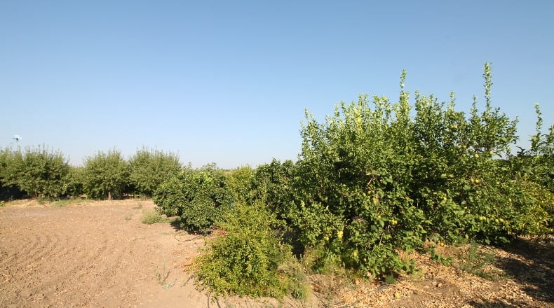 Sevilla - Alcalá del Río - 4600m2