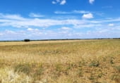 Non-developable land for rent on Calle el Canal, Valdevimbre, ref: TR109333 photo