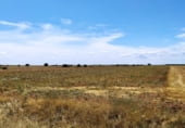 Non-developable land for rent on Calle el Canal, Valdevimbre, ref: TR109333 photo