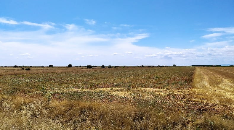 León - Valdevimbre - 60000m2