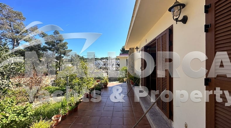 Illes Balears - Santa Ponça - 1.1m2