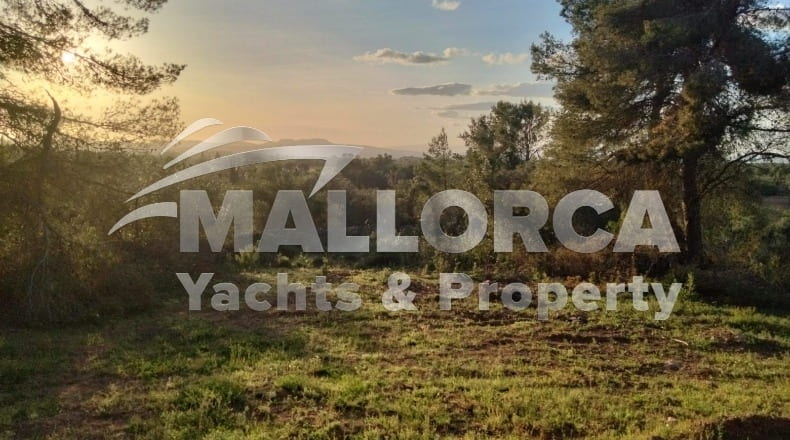 Illes Balears - Felanitx - 23m2