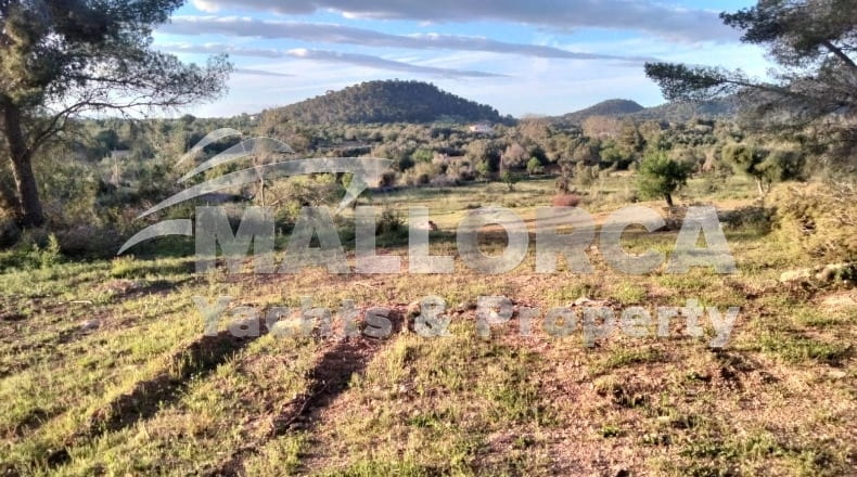 Illes Balears - Felanitx - 23m2