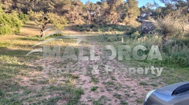 Illes Balears - Felanitx - 23m2