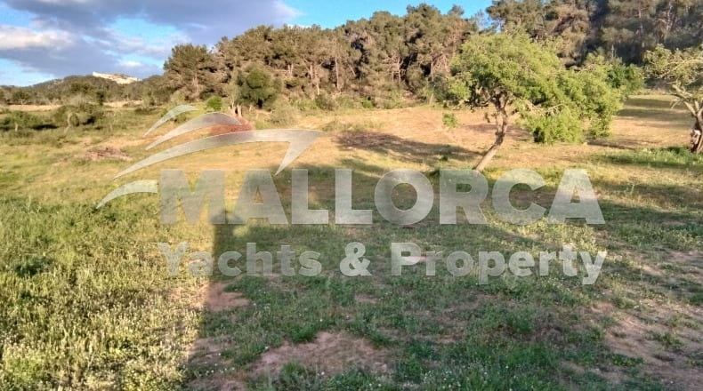 Illes Balears - Felanitx - 23m2