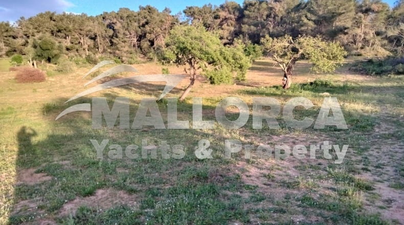 Illes Balears - Felanitx - 23m2