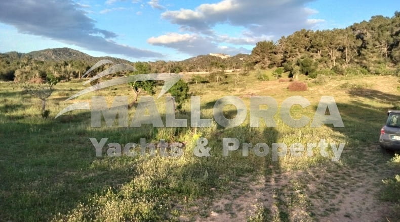 Illes Balears - Felanitx - 23m2