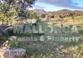 Parcela urbanizable en venta en la carreró del Dimoni, Felanitx, ref: TR109327 foto
