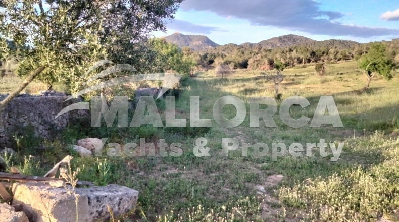 Illes Balears - Felanitx - 23m2