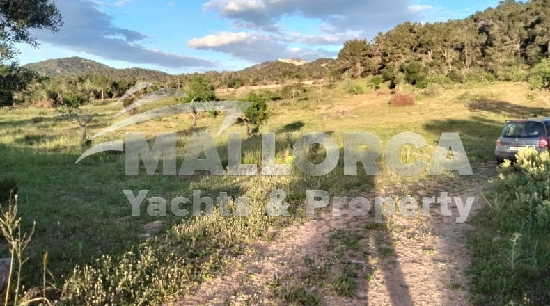 Illes Balears - Felanitx - 23m2