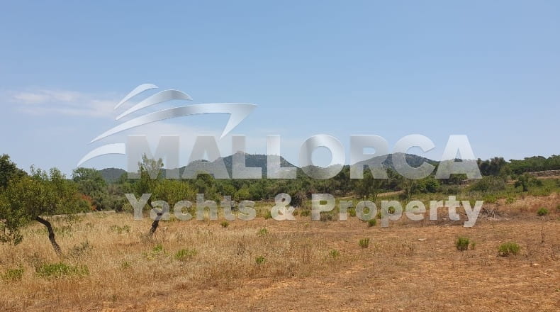 Illes Balears - Felanitx - 23m2