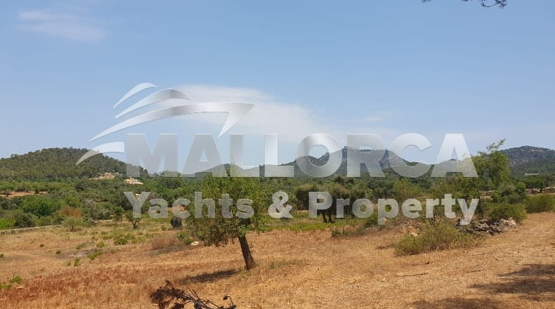 Illes Balears - Felanitx - 23m2