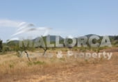 Parcela urbanizable en venta en la carreró del Dimoni, Felanitx, ref: TR109327 foto