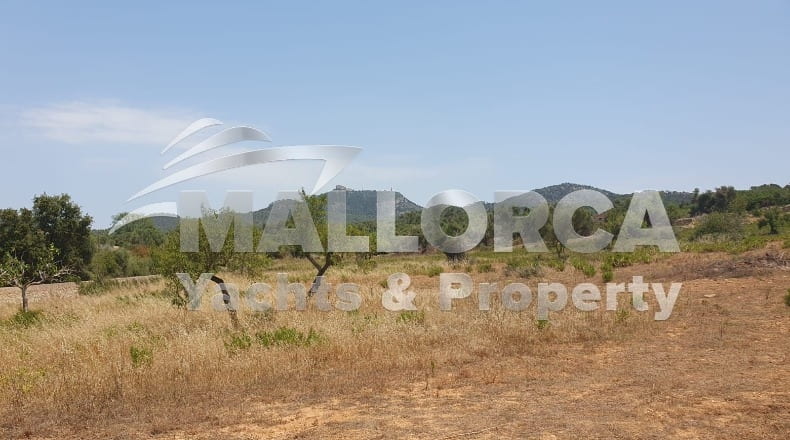 Illes Balears - Felanitx - 23m2