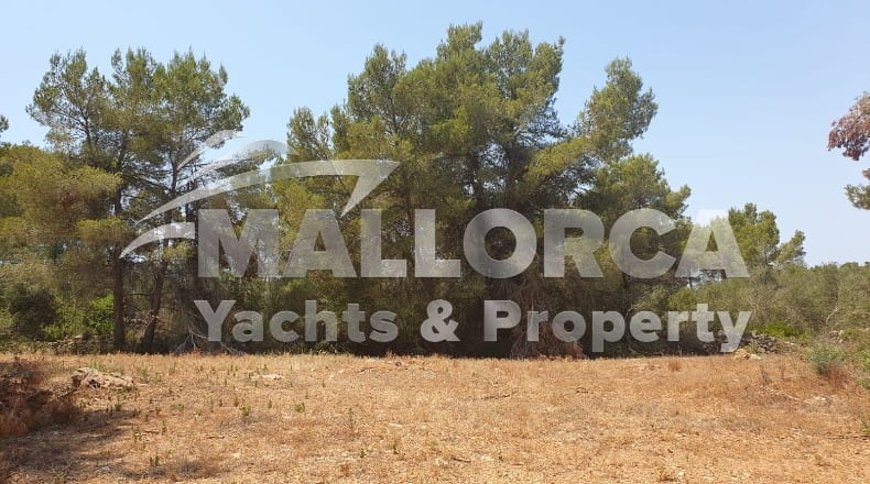 Illes Balears - Felanitx - 23m2