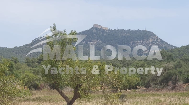 Illes Balears - Felanitx - 23m2