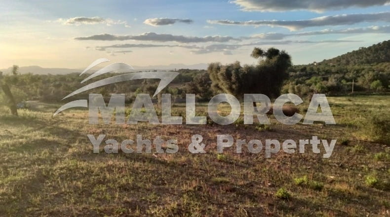 Illes Balears - Felanitx - 23m2