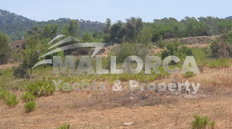 Illes Balears - Felanitx - 23m2
