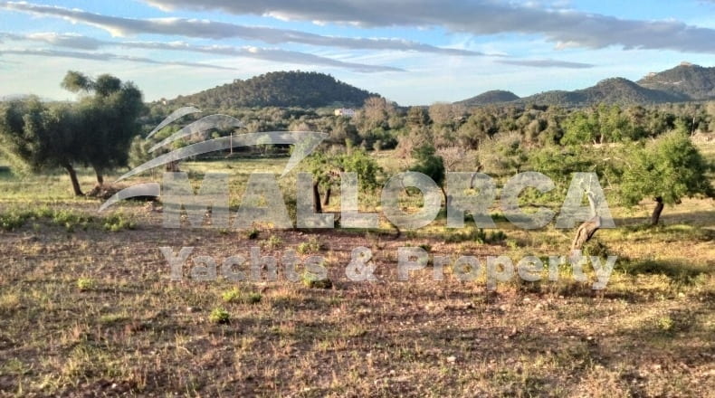Illes Balears - Felanitx - 23m2