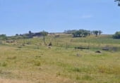 Terreno no urbanizable en venta en la Carretera de la Virgen del Encinar, Ceclavín, ref: TR109324 foto