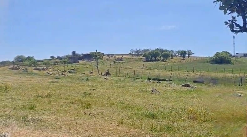 Caceres - Cáceres - 4000m2