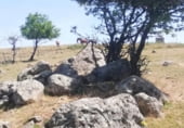 Terreno no urbanizable en venta en la Carretera de la Virgen del Encinar, Ceclavín, ref: TR109324 foto