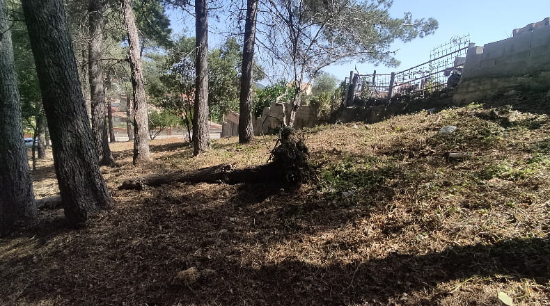 Barcelona - Olesa de Bonesvalls - 2436m2