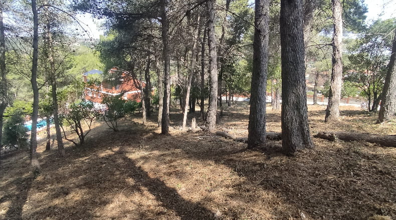 Barcelona - Olesa de Bonesvalls - 2436m2