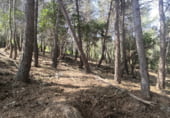 Sòl urbà en venda a la Sant Sever 45, Olesa de Bonesvalls, ref.: TR109318 foto