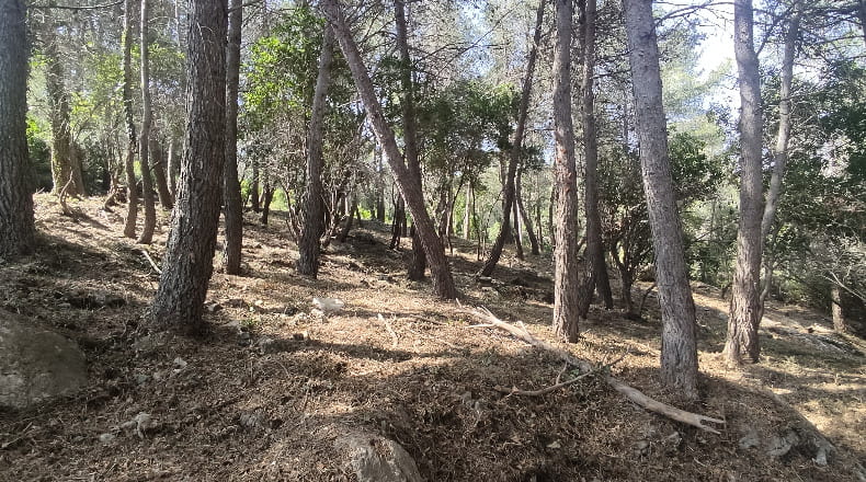 Barcelona - Olesa de Bonesvalls - 2436m2